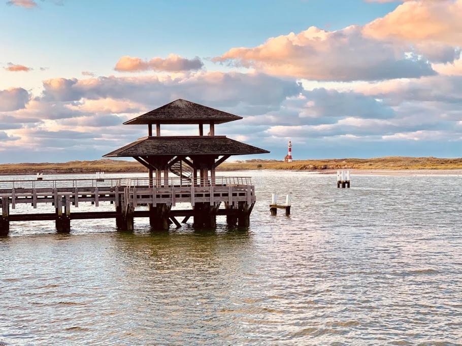 Ysermonde Fisherman'S Cottage نيوبورت المظهر الخارجي الصورة